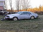 1987 Ford Thunderbird Picture 2