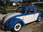 1961 Volkswagen Beetle Picture 2