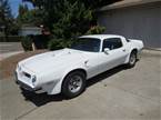 1975 Pontiac Trans Am Picture 2