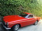 1967 Volvo P1800 Picture 2