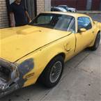 1977 Pontiac Trans Am Picture 2