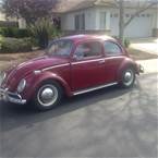 1964 Volkswagen Beetle Picture 2