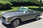 1970 Mercedes SL Picture 2