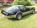 1978 Chevrolet Corvette Picture 2