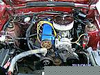 1981 Ford Mustang Picture 2