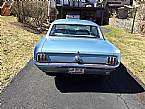 1966 Ford Mustang Picture 2