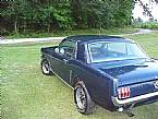 1964.5 Ford Mustang Picture 2