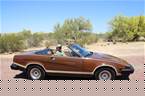 1979 Triumph TR7 Picture 2
