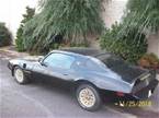 1979 Pontiac Trans Am Picture 2