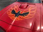1973 Pontiac Firebird Picture 2