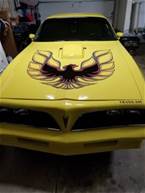 1978 Pontiac Trans Am Picture 2