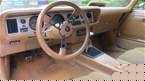 1981 Pontiac Trans Am Picture 2