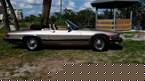 1991 Jaguar XJS Picture 2