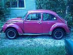 1974 Volkswagen Super Beetle Picture 2