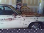 1973 Pontiac Grand Am Picture 2