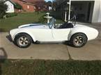 1965 Shelby Cobra Picture 2