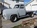 1954 Ford F250 Picture 2