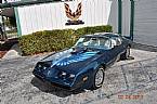 1979 Pontiac Trans Am Picture 2