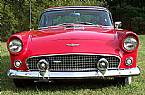 1956 Ford Thunderbird Picture 2