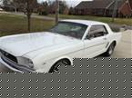 1966 Ford Mustang Picture 2