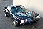 1975 Pontiac Trans Am Picture 2