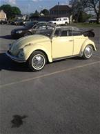 1968 Volkswagen Beetle Picture 2