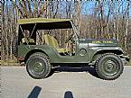 1955 Jeep Willys Picture 2