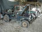 1966 Jeep CJ5 Picture 2