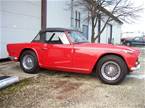 1968 Triumph TR250 Picture 3