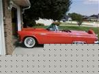 1956 Ford Thunderbird Picture 3
