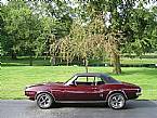 1968 Pontiac Firebird Picture 3