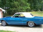 1966 Ford Thunderbird Picture 3