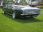 1965 Chevrolet Corvair Picture 3