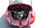 1969 Volkswagen Beetle Picture 3