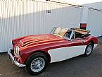 1967 Austin Healey BJ8 Picture 3
