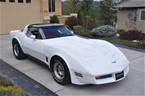 1981 Chevrolet Corvette Picture 3