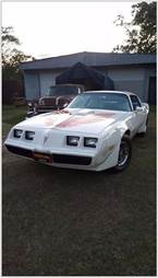 1979 Pontiac Trans Am Picture 3