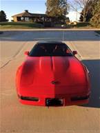 1995 Chevrolet Corvette Picture 3