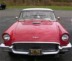 1957 Ford Thunderbird Picture 3