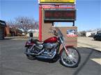 2004 Other Harley Davidson XL1200C Picture 3