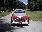 1956 Jaguar Mark I Picture 3