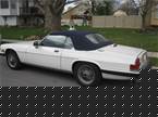 1990 Jaguar XJS Picture 3