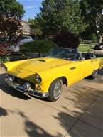 1956 Ford Thunderbird Picture 3