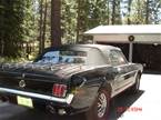 1965 Ford Mustang Picture 3