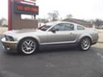 2009 Ford Shelby Picture 3