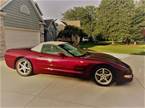 2003 Chevrolet Corvette Picture 3