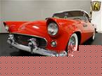 1955 Ford Thunderbird Picture 3