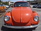 1971 Volkswagen Super Beetle Picture 3