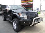 2013 Ford F150 Picture 3