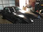 1979 Chevrolet Corvette Picture 3